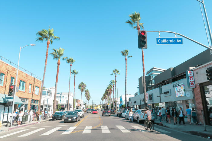 Venice Beach