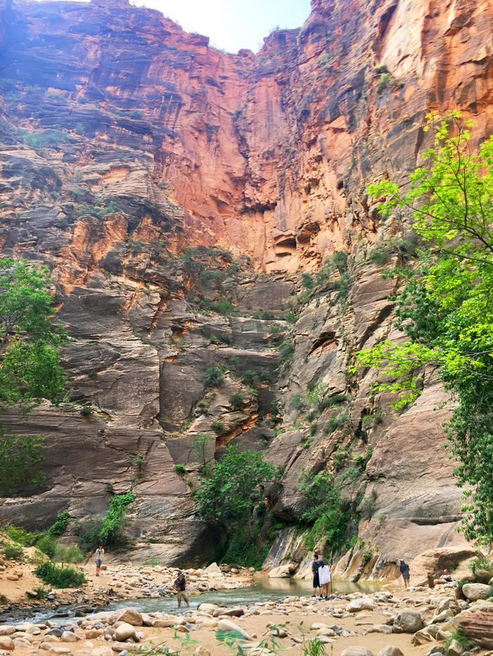 Zion National Park