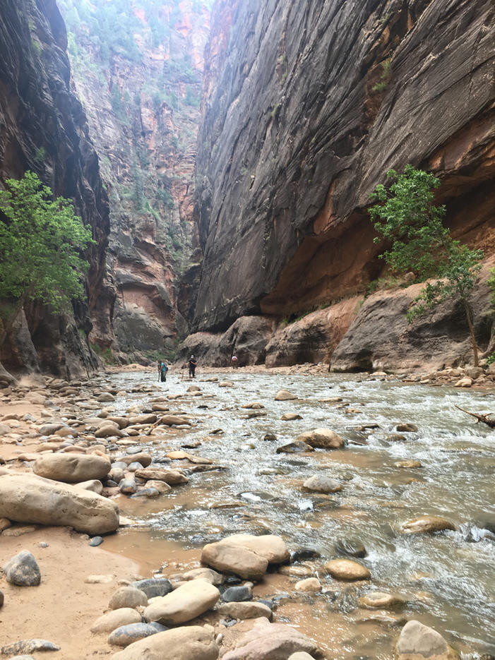 Zion National Park