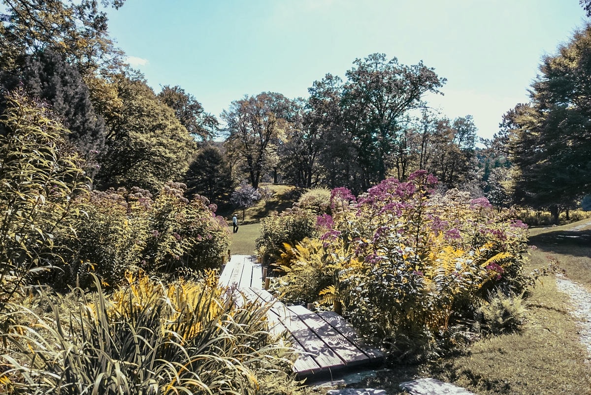 紐約近郊 – Innisfree Garden - 第11張圖
