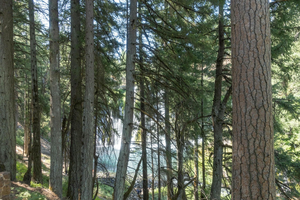 北加州景點 – 最美瀑布 Burney Falls - 第5張圖