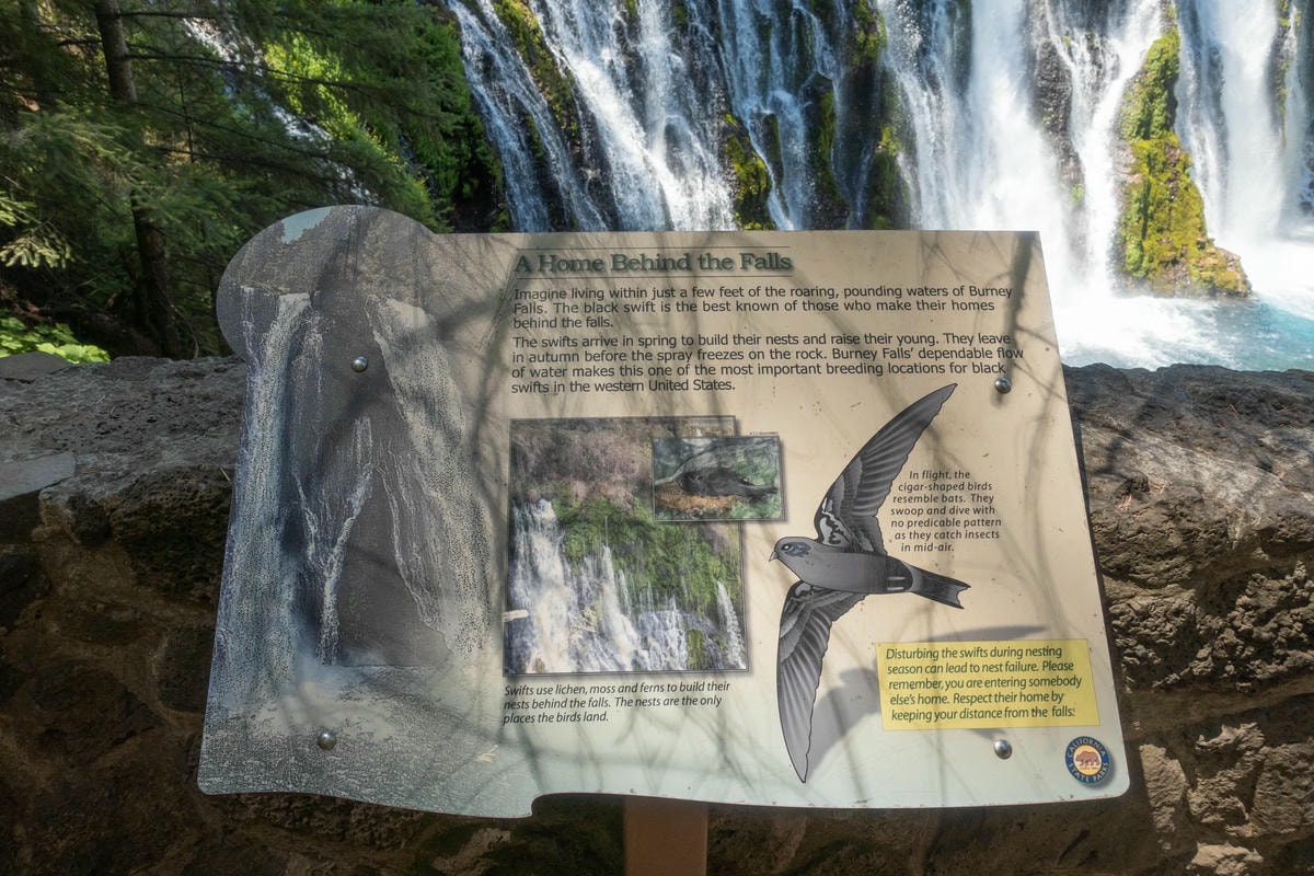 北加州景點 – 最美瀑布 Burney Falls - 第7張圖