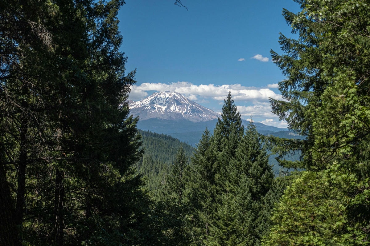 北加州景點 – Mt. Shasta 週邊遊玩攻略 - 第11張圖