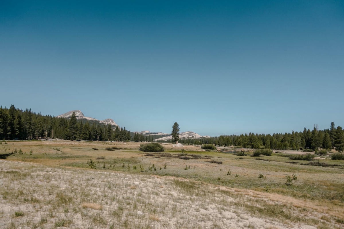 北加州景點 – 優勝美地國家公園 Tioga Pass 攻略 - 第15張圖