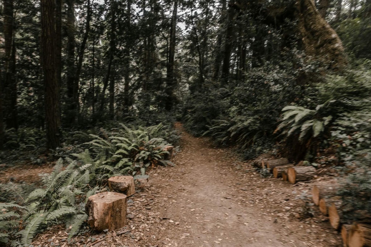 舊金山近郊Glamping 體驗 – Mendocino Grove - 第24張圖