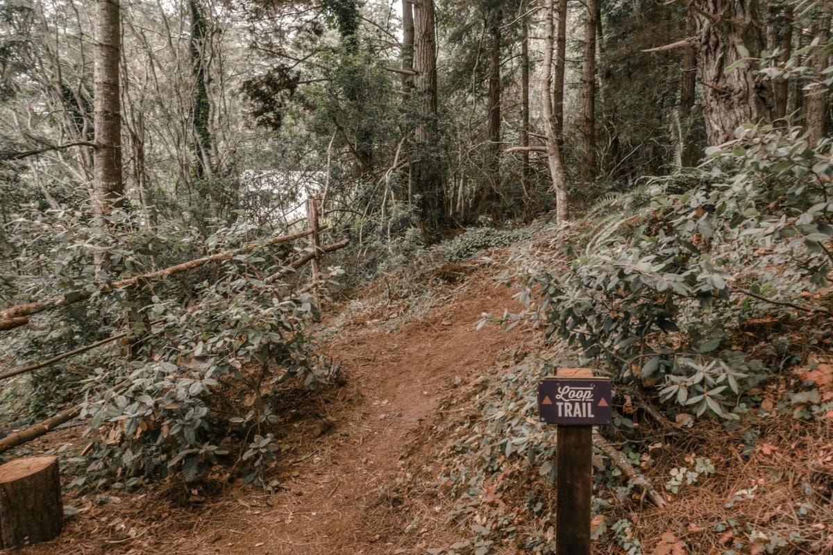 舊金山近郊Glamping 體驗 – Mendocino Grove - 第25張圖