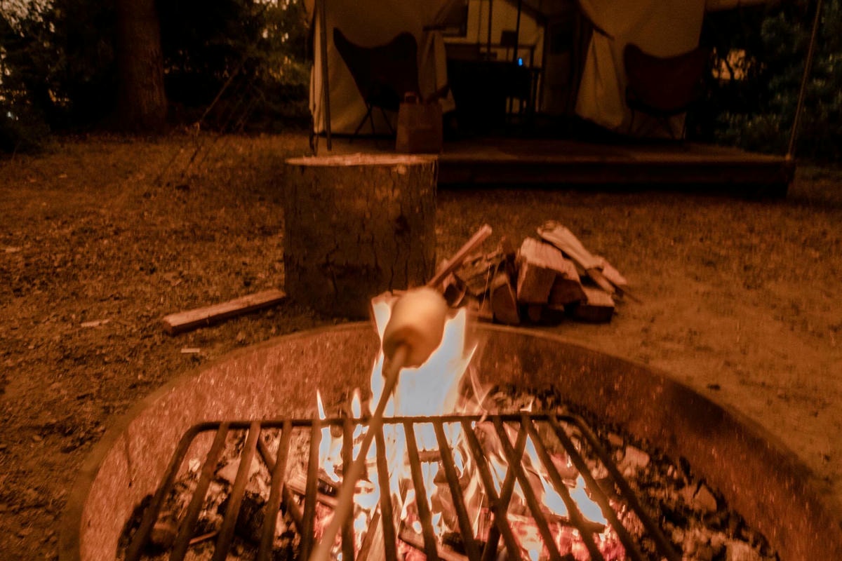 舊金山近郊Glamping 體驗 – Mendocino Grove - 第7張圖