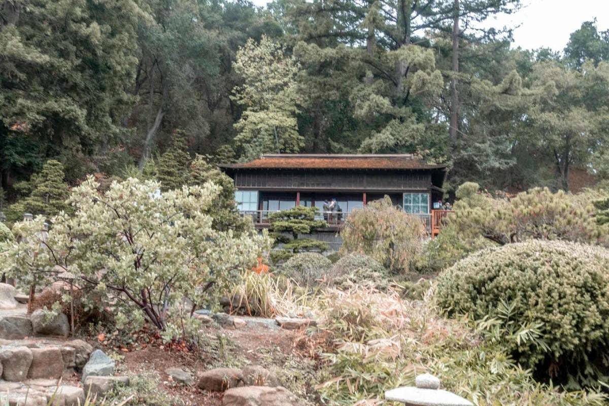 北加州灣區偽箱根半日遊 – Hakone Estate and Gardens - 第5張圖
