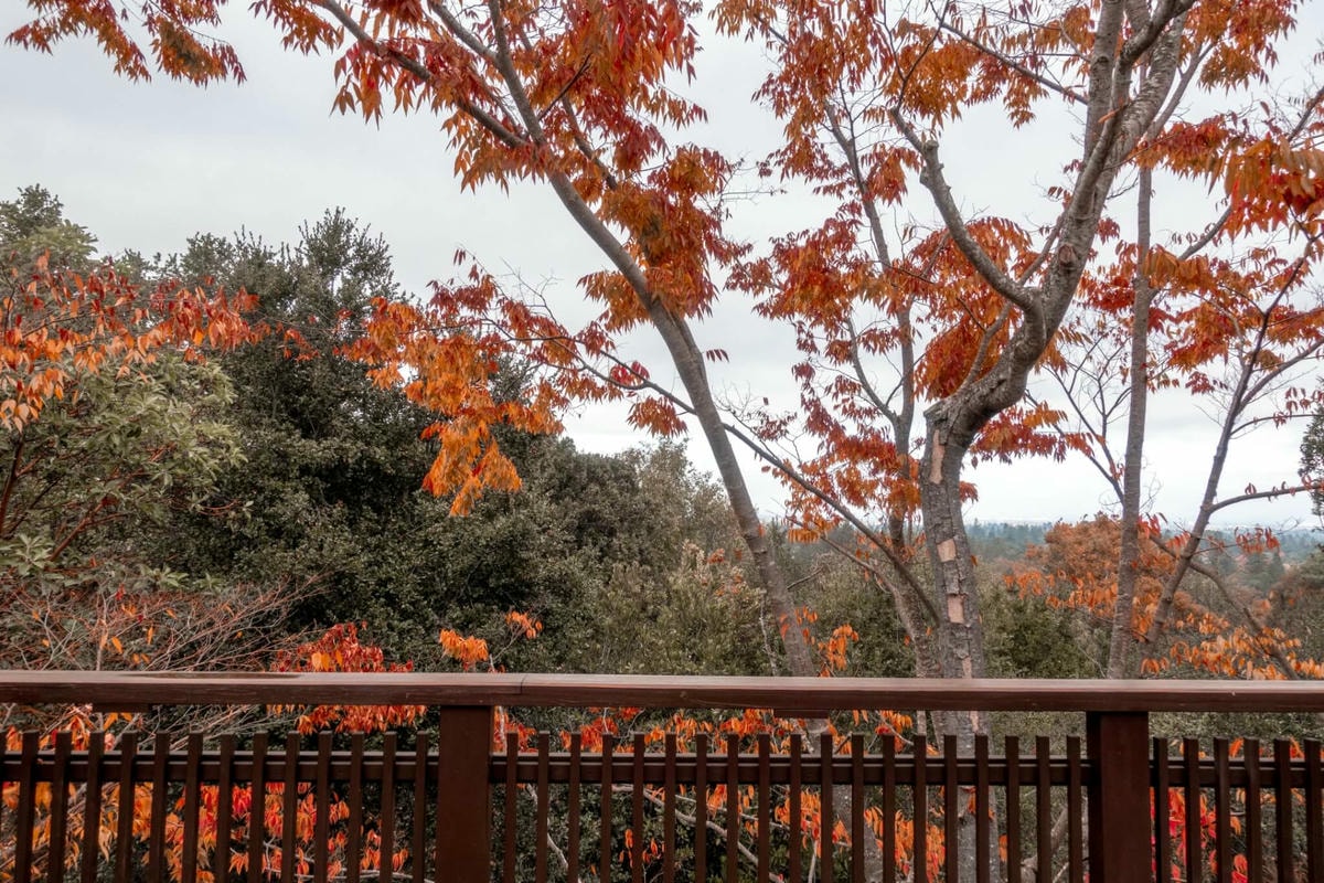 北加州灣區偽箱根半日遊 – Hakone Estate and Gardens - 第6張圖