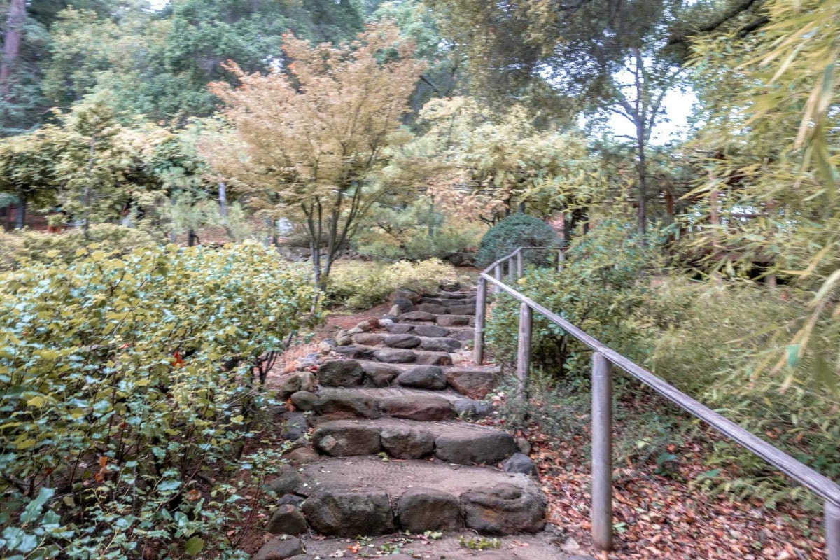 北加州灣區偽箱根半日遊 – Hakone Estate and Gardens - 第10張圖