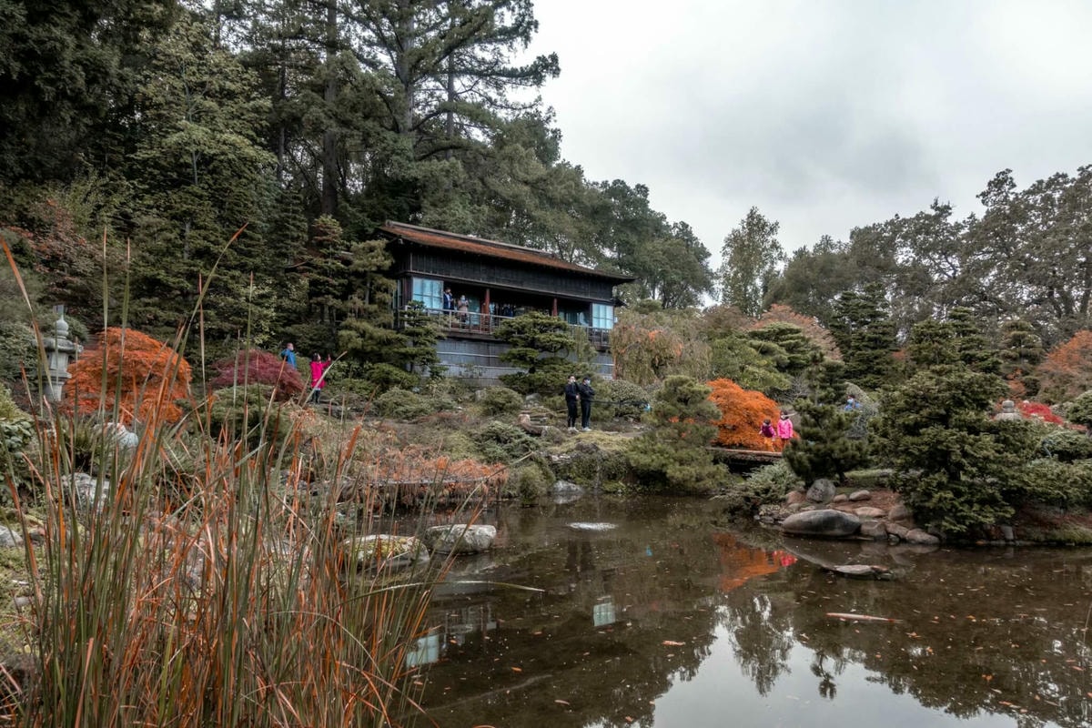 北加州灣區偽箱根半日遊 – Hakone Estate and Gardens - 第1張圖