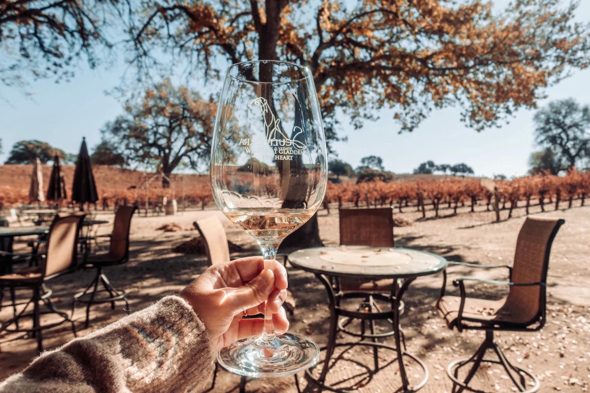 加州中部Paso Robles 酒莊分享 – Sculpterra Winery - 第15張圖