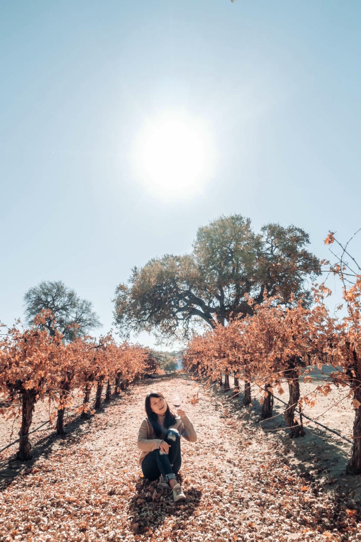 加州中部Paso Robles 酒莊分享 – Sculpterra Winery - 第13張圖