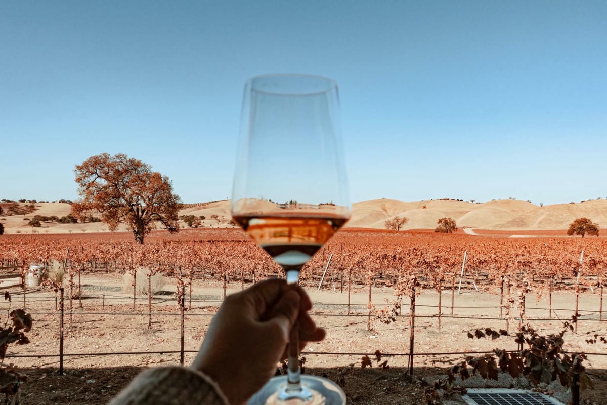 加州中部 Paso Robles 5間酒莊推薦 - 第19張圖