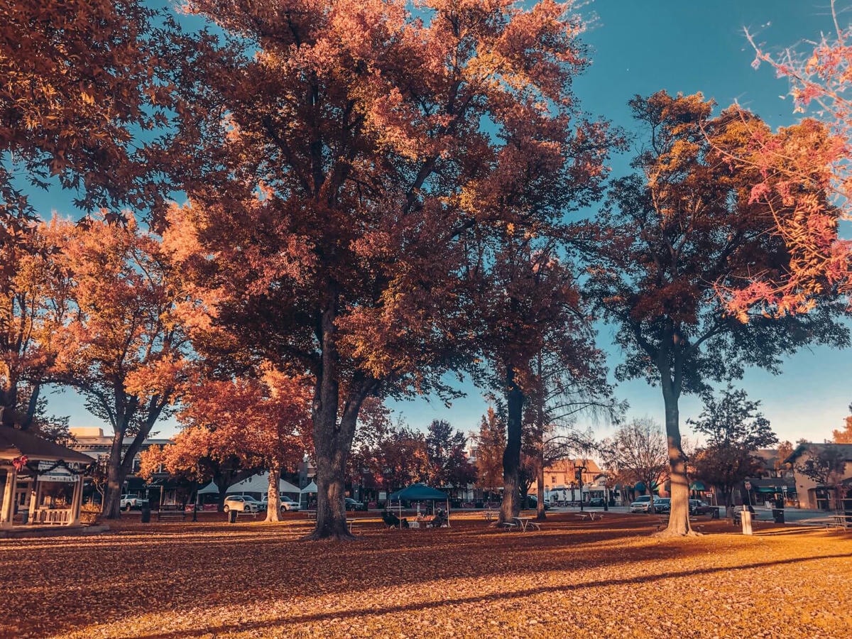 加州中部 Paso Robles 市區景點分享 - 第17張圖