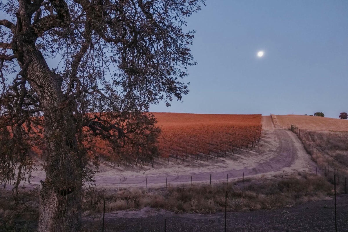 Paso Robles 溫泉推薦 – River Oaks Hot Springs Spa - 第3張圖