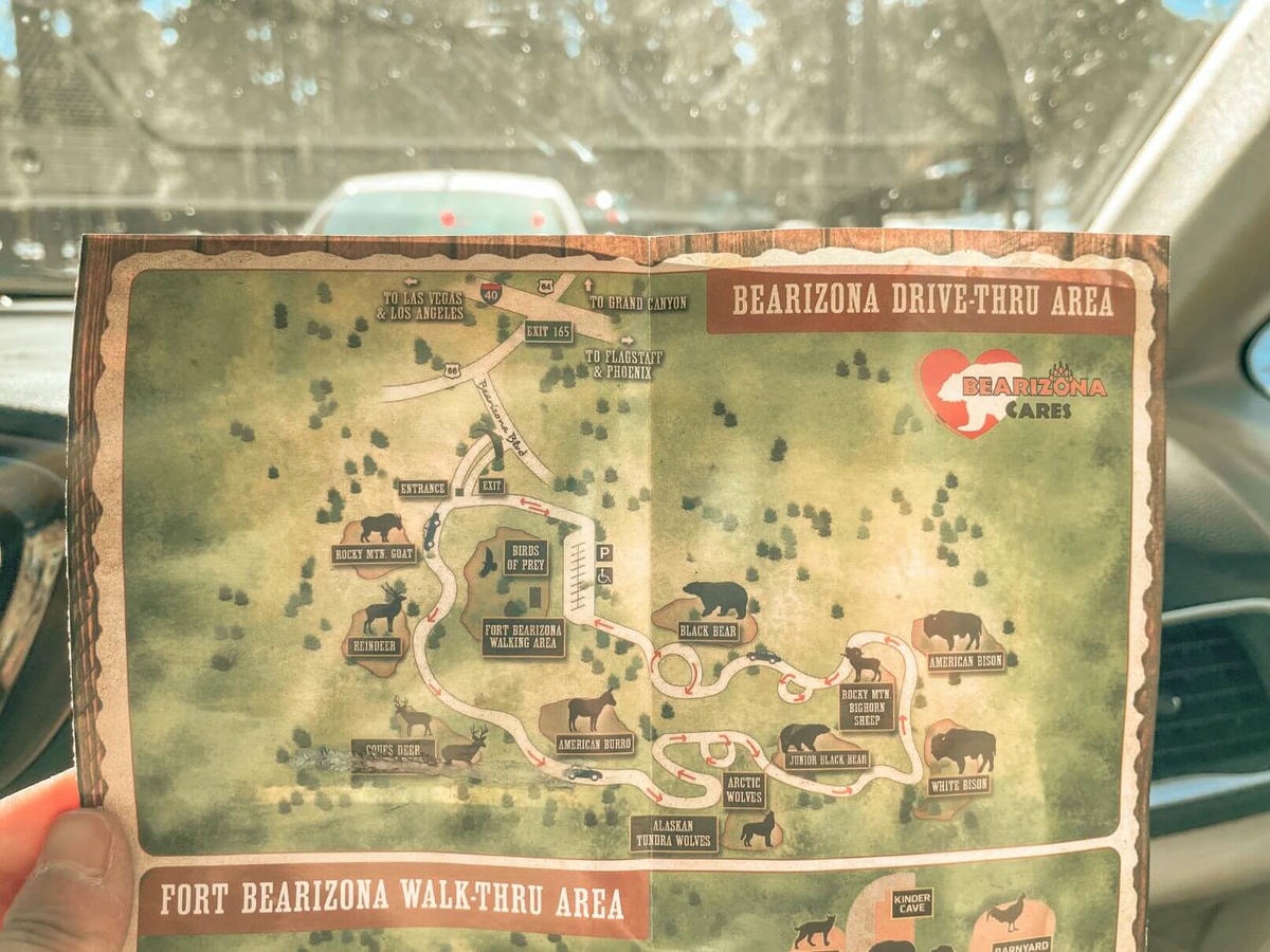 66號公路上與熊、美洲野牛、狼零距離動物園 – Bearizona Wildlife Park - 第2張圖