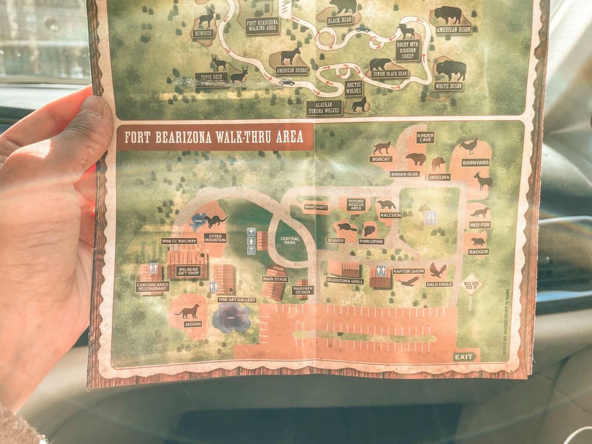 66號公路上與熊、美洲野牛、狼零距離動物園 – Bearizona Wildlife Park - 第3張圖