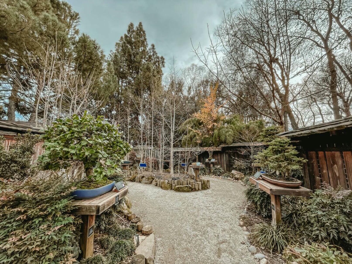 北加州日式花園 – Shinzen Friendship Garden - 第13張圖
