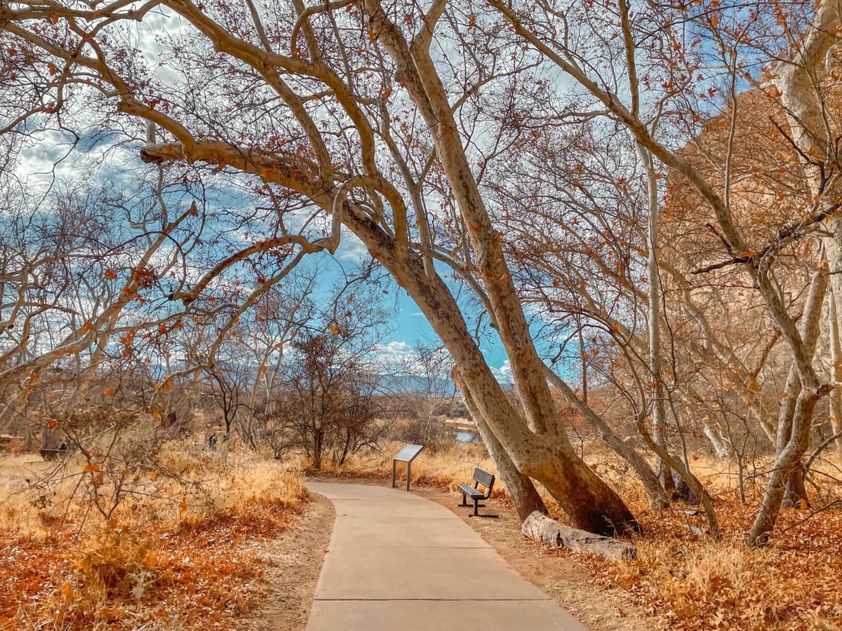 鳳凰城附近古原住民遺跡 – Montezuma Castle National Monument - 第4張圖