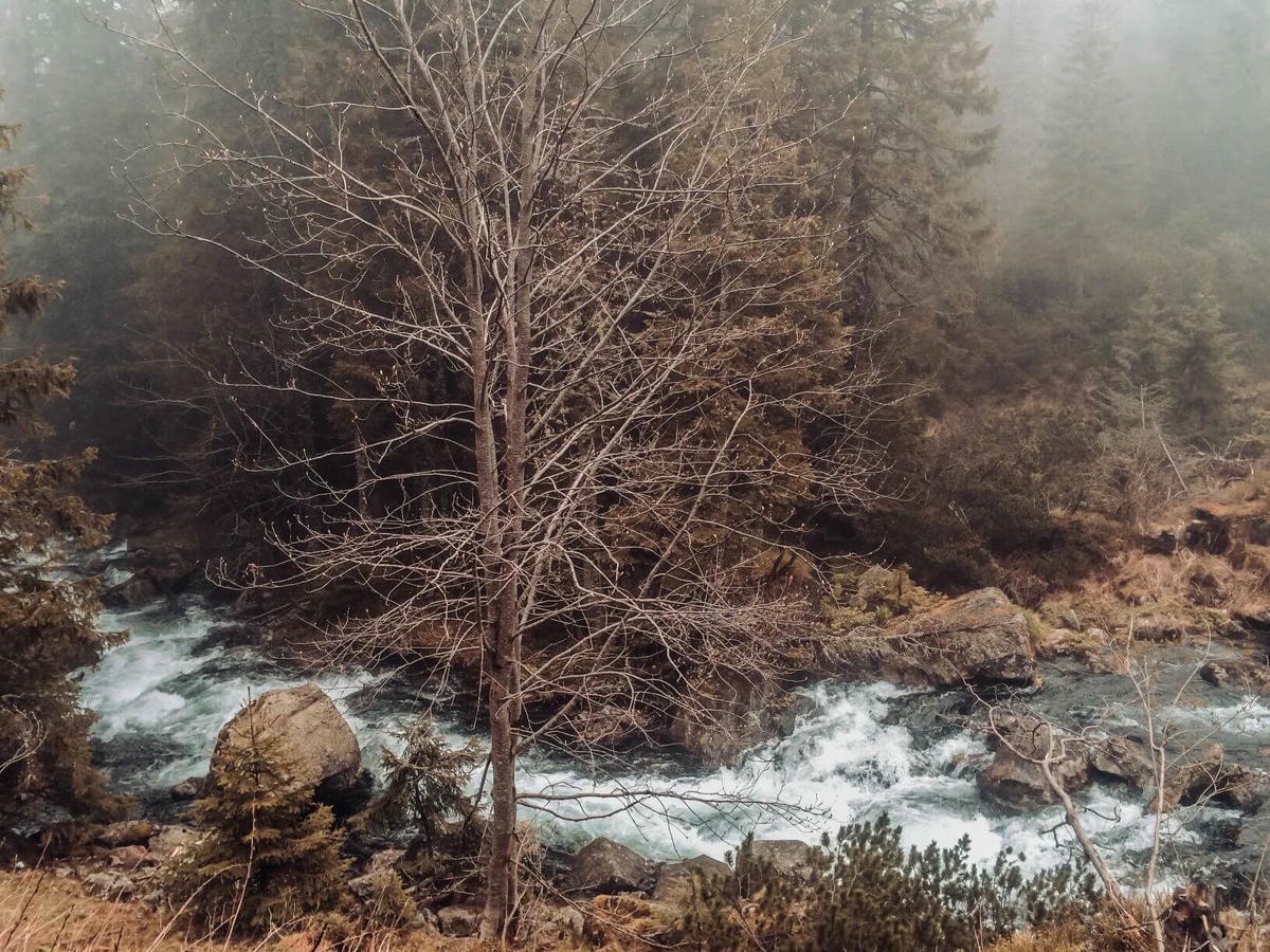 波蘭克拉克夫近郊童話小鎮 – Zakopane - 第5張圖