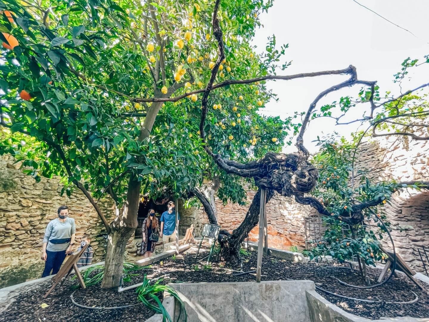 加州中部地下花園 Forestiere Underground Gardens Wen The Travel Begins