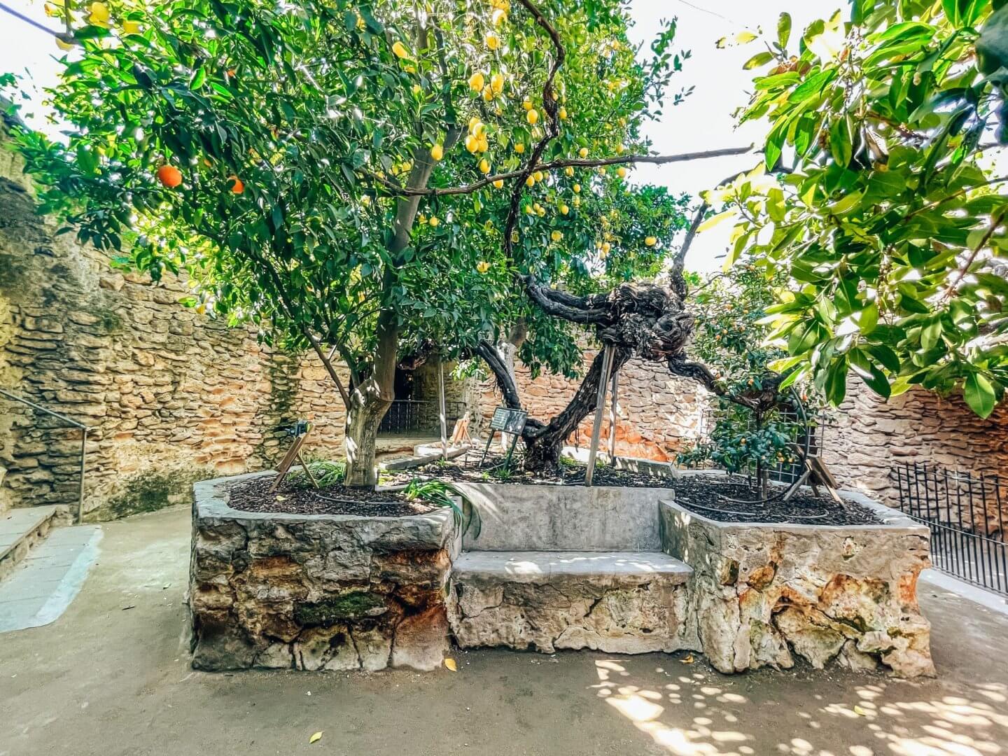 加州中部地下花園 Forestiere Underground Gardens Wen The Travel Begins