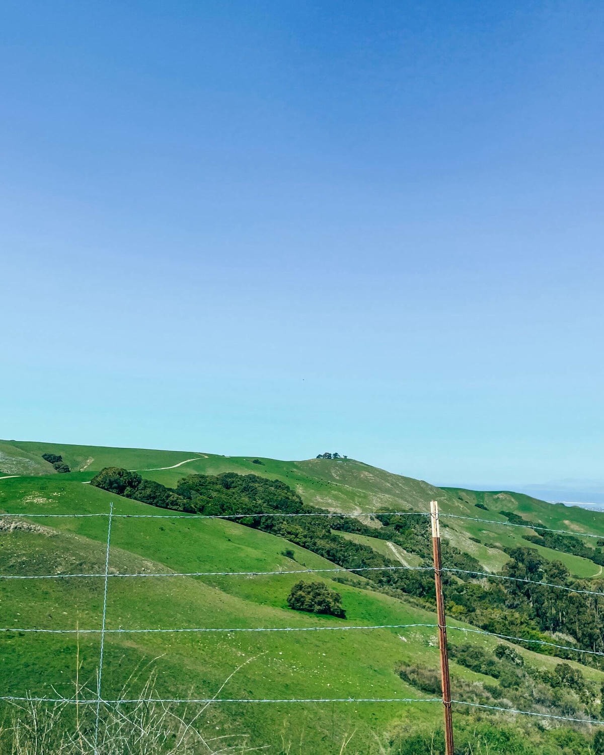 加州中部 – San Luis Obispo 小鎮市區景點 - 第29張圖