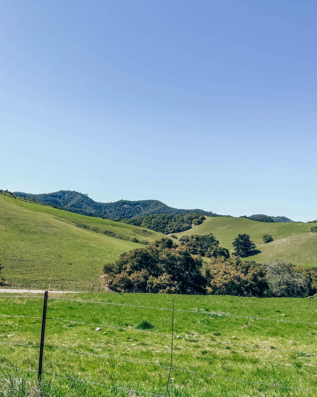加州中部 – San Luis Obispo 小鎮市區景點 - 第31張圖