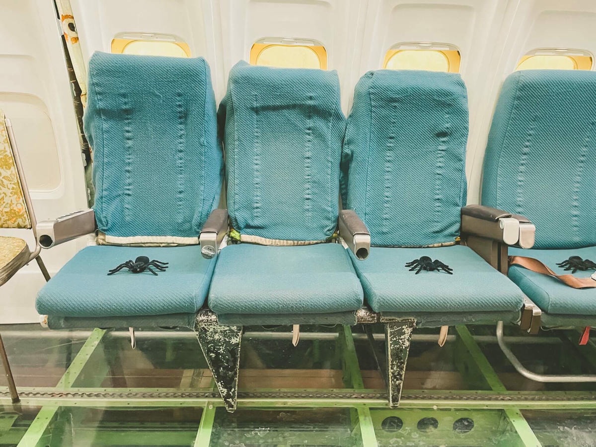 波特蘭近郊 – 森林裡飛機的家Airplane Home - 第3張圖