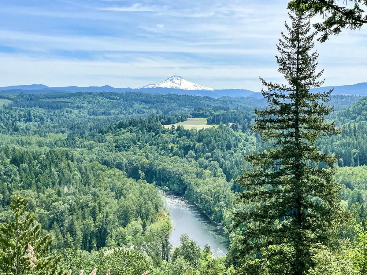 波特蘭哥倫比亞河谷區 – Multnomah Falls / Trillium Lake / Hood River Fruit Loop - 第5張圖 Jonsrud Viewpoint