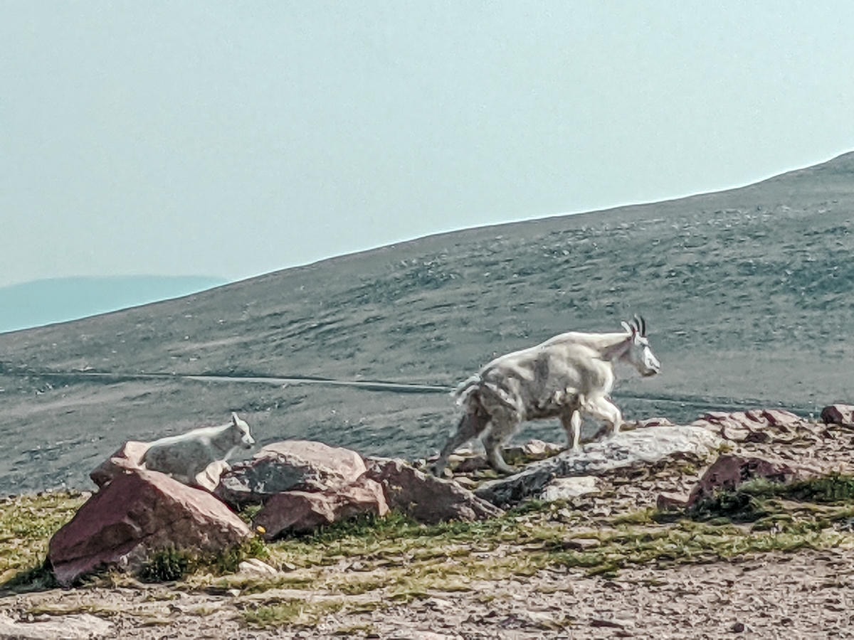 全美最美的公路之一 – 熊牙公路(Beartooth Highway) - 第6張圖