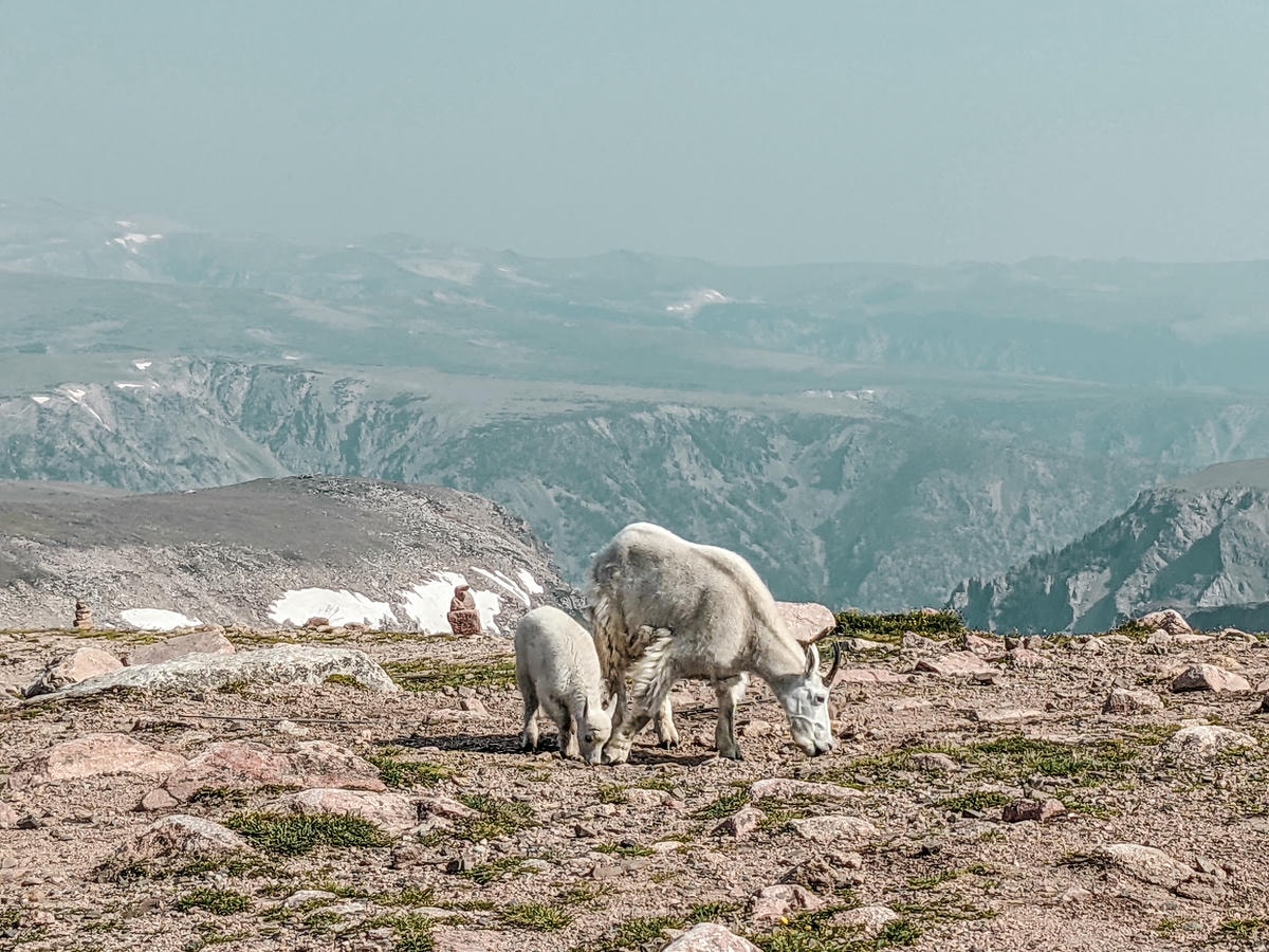 全美最美的公路之一 – 熊牙公路(Beartooth Highway) - 第7張圖