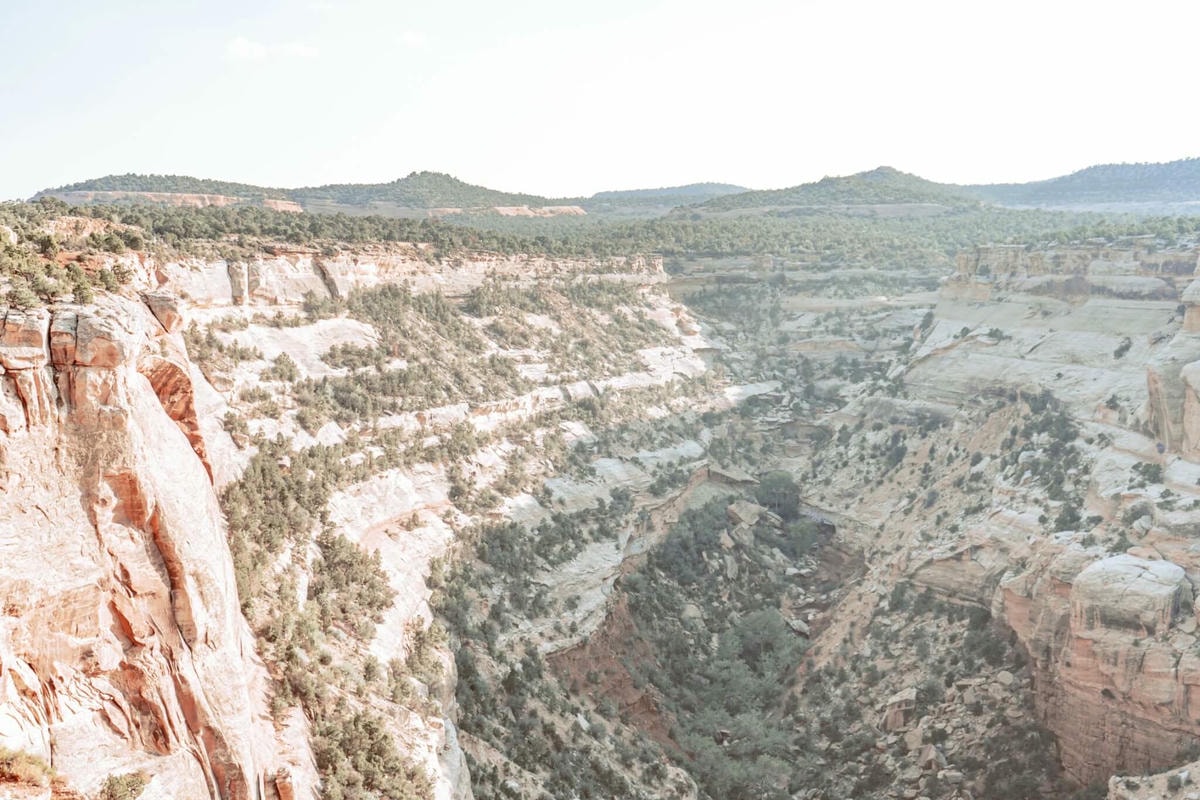 科羅拉多州壯麗的峽谷景觀 Colorado National Monument - 第13張圖 Red Canyon Overlook