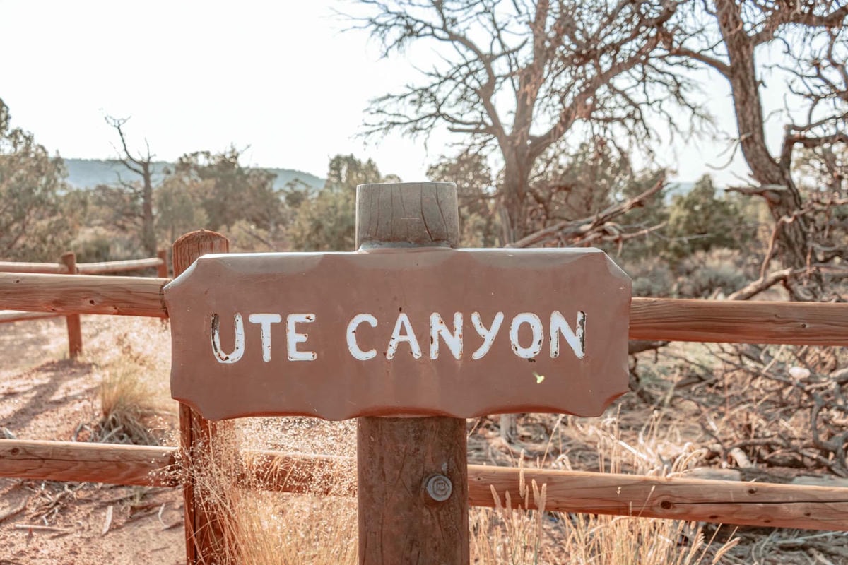科羅拉多州壯麗的峽谷景觀 Colorado National Monument - 第10張圖