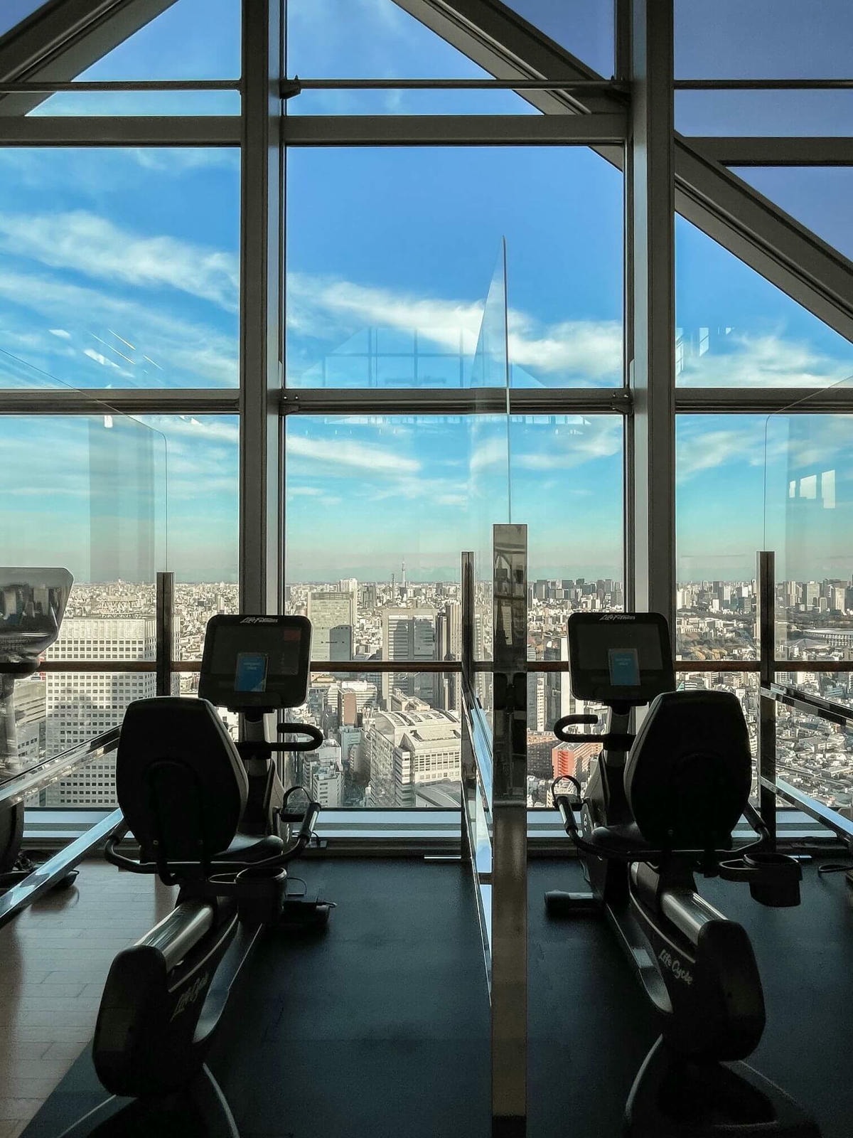 東京住宿推薦 | 從飯店大廳就能看到富士山,柏悅飯店 Park Hyatt Tokyo 開箱 - 第14張圖 Park Hyatt Tokyo