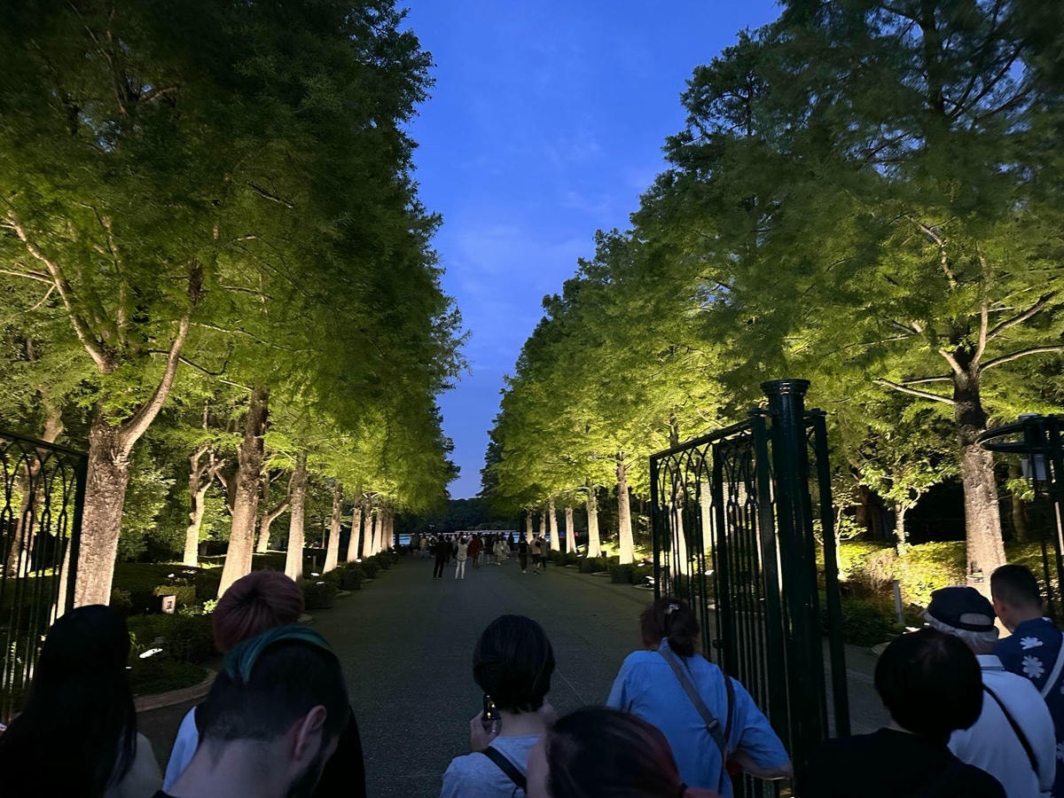 大阪景點推薦|大阪 Teamlab 常設展,夜晚會發光的植物園 - 第4張圖 大阪 Teamlab