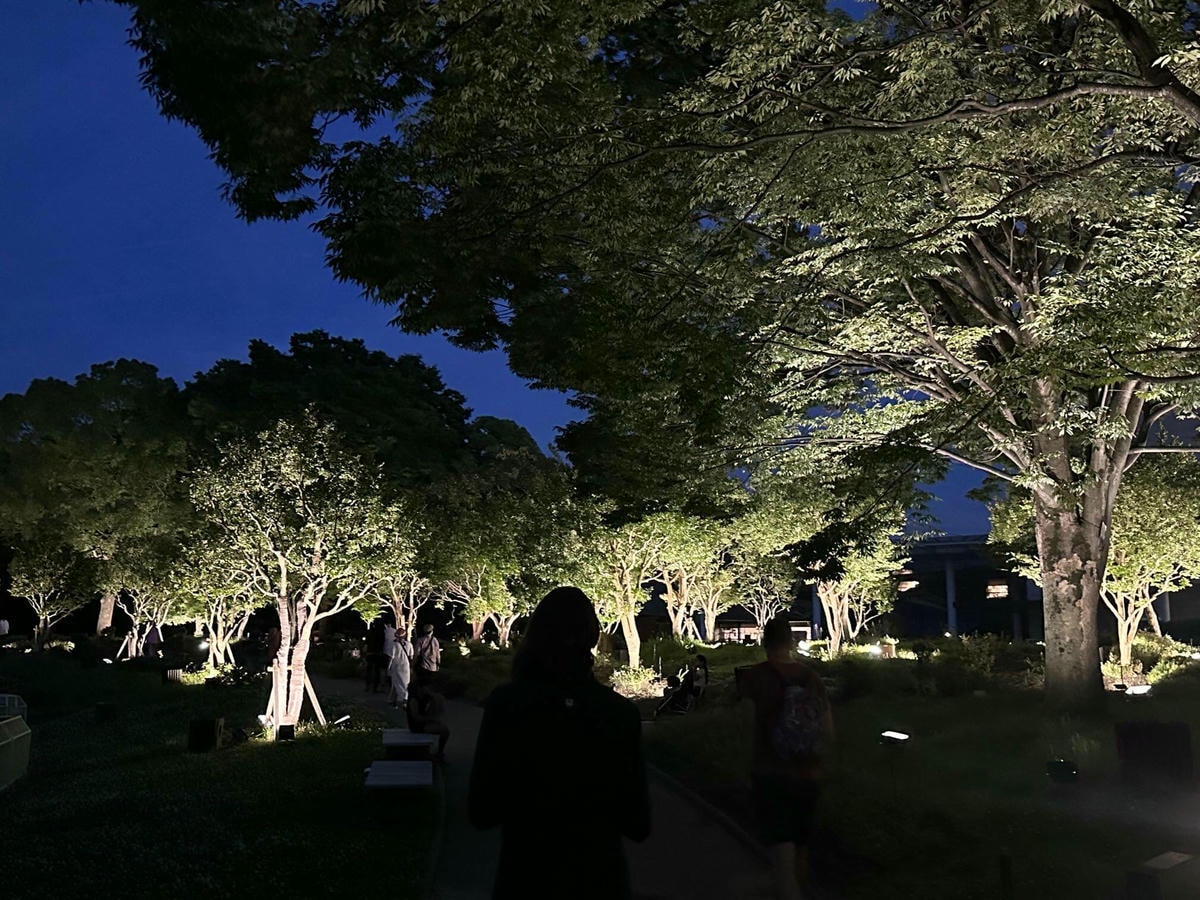 大阪景點推薦|大阪 Teamlab 常設展,夜晚會發光的植物園 - 第5張圖 大阪 Teamlab