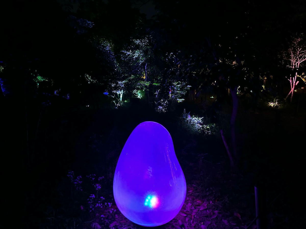 大阪景點推薦|大阪 Teamlab 常設展,夜晚會發光的植物園 - 第6張圖 大阪 Teamlab
