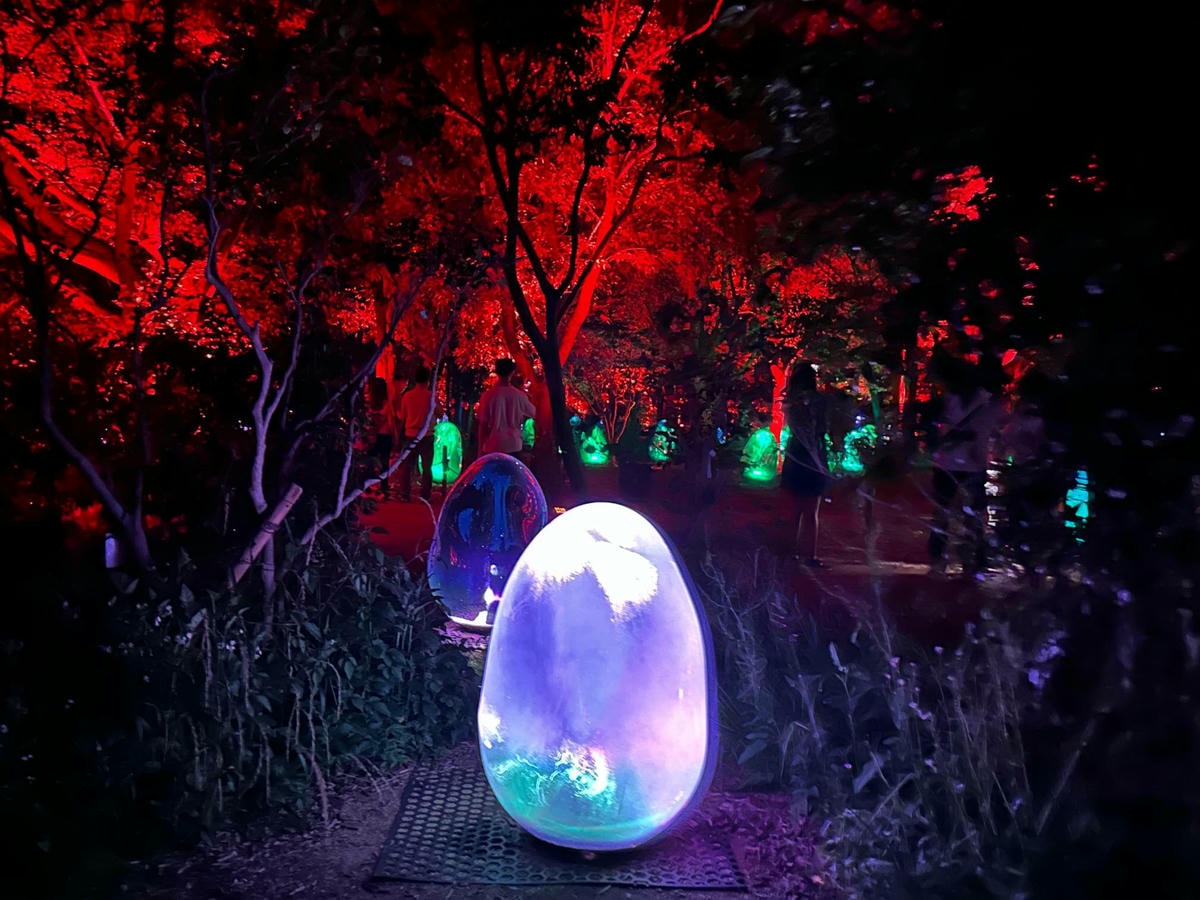 大阪景點推薦|大阪 Teamlab 常設展,夜晚會發光的植物園 - 第7張圖 大阪 Teamlab