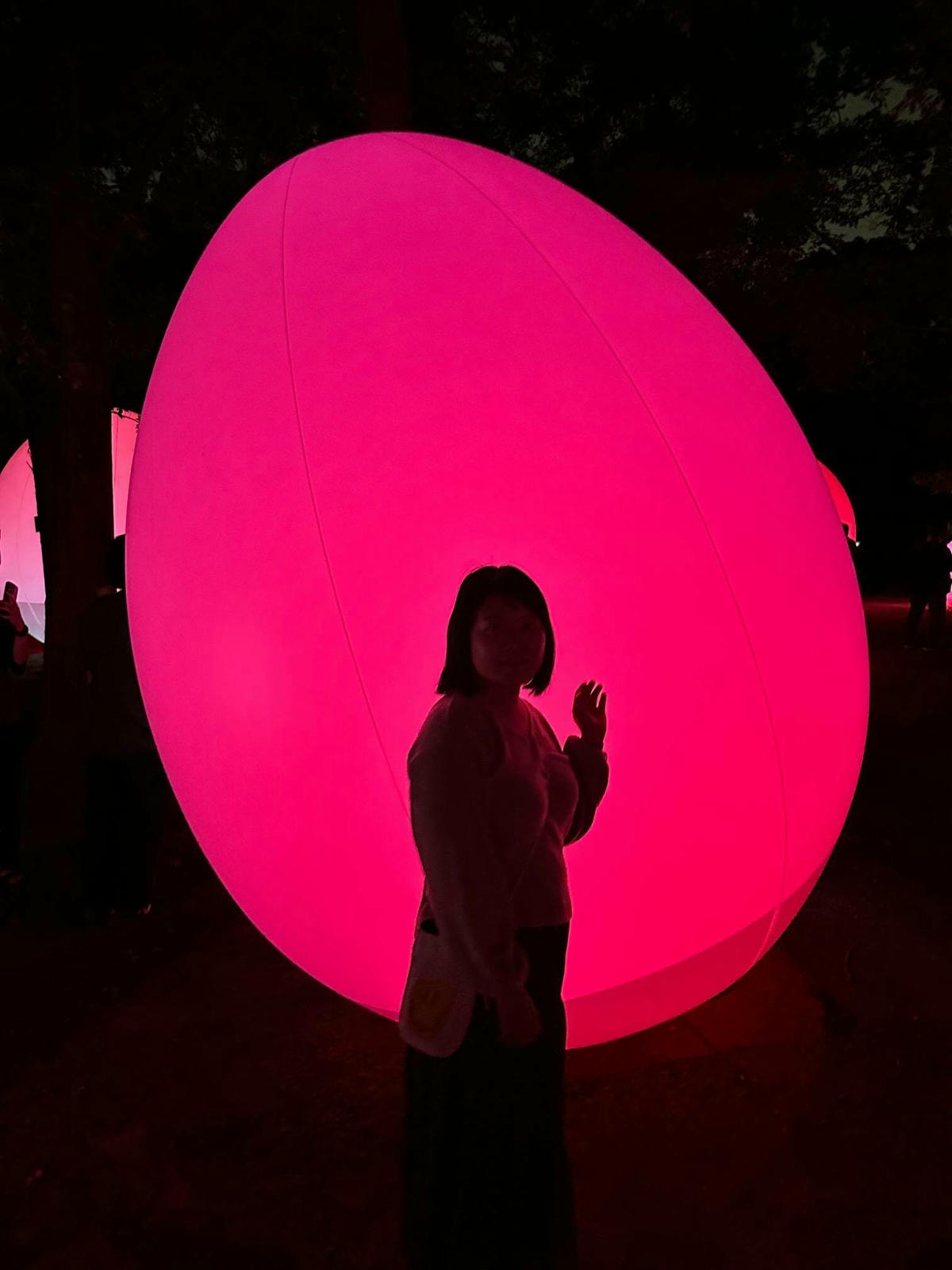 大阪景點推薦|大阪 Teamlab 常設展,夜晚會發光的植物園 - 第10張圖 大阪 Teamlab