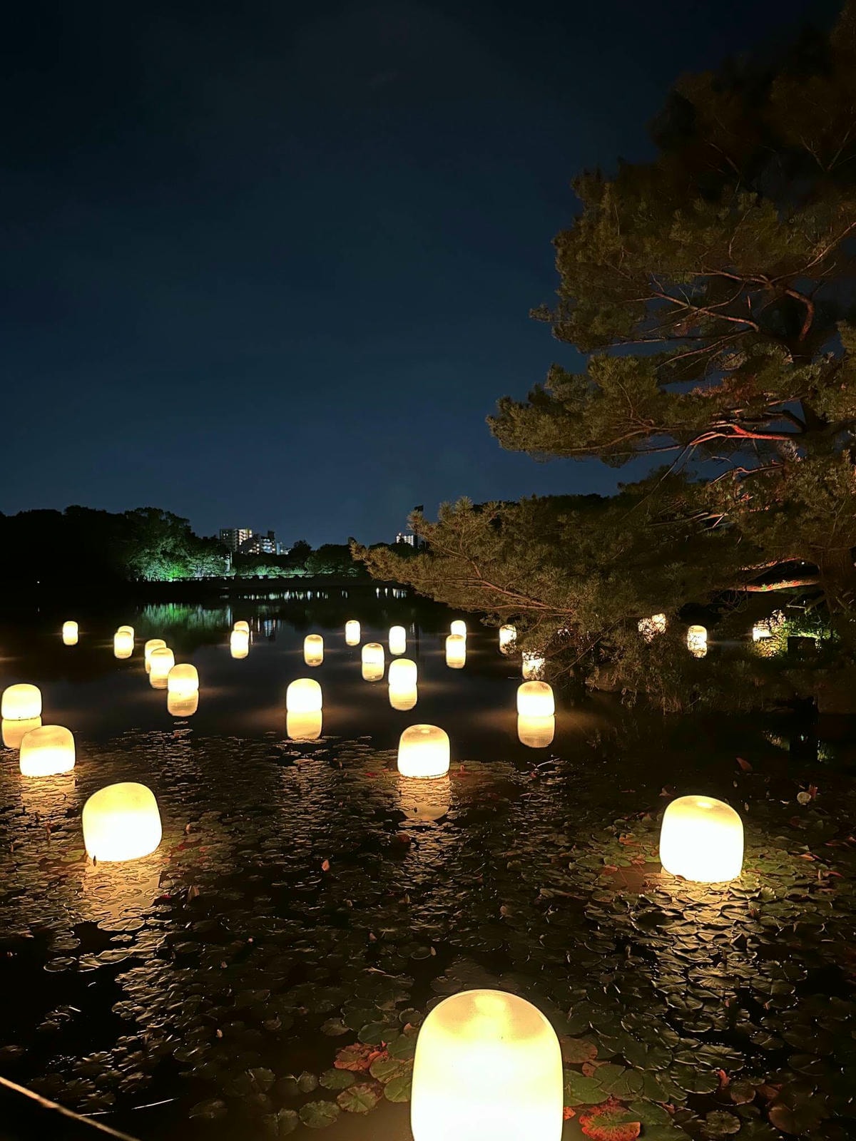 大阪景點推薦|大阪 Teamlab 常設展,夜晚會發光的植物園 - 第2張圖