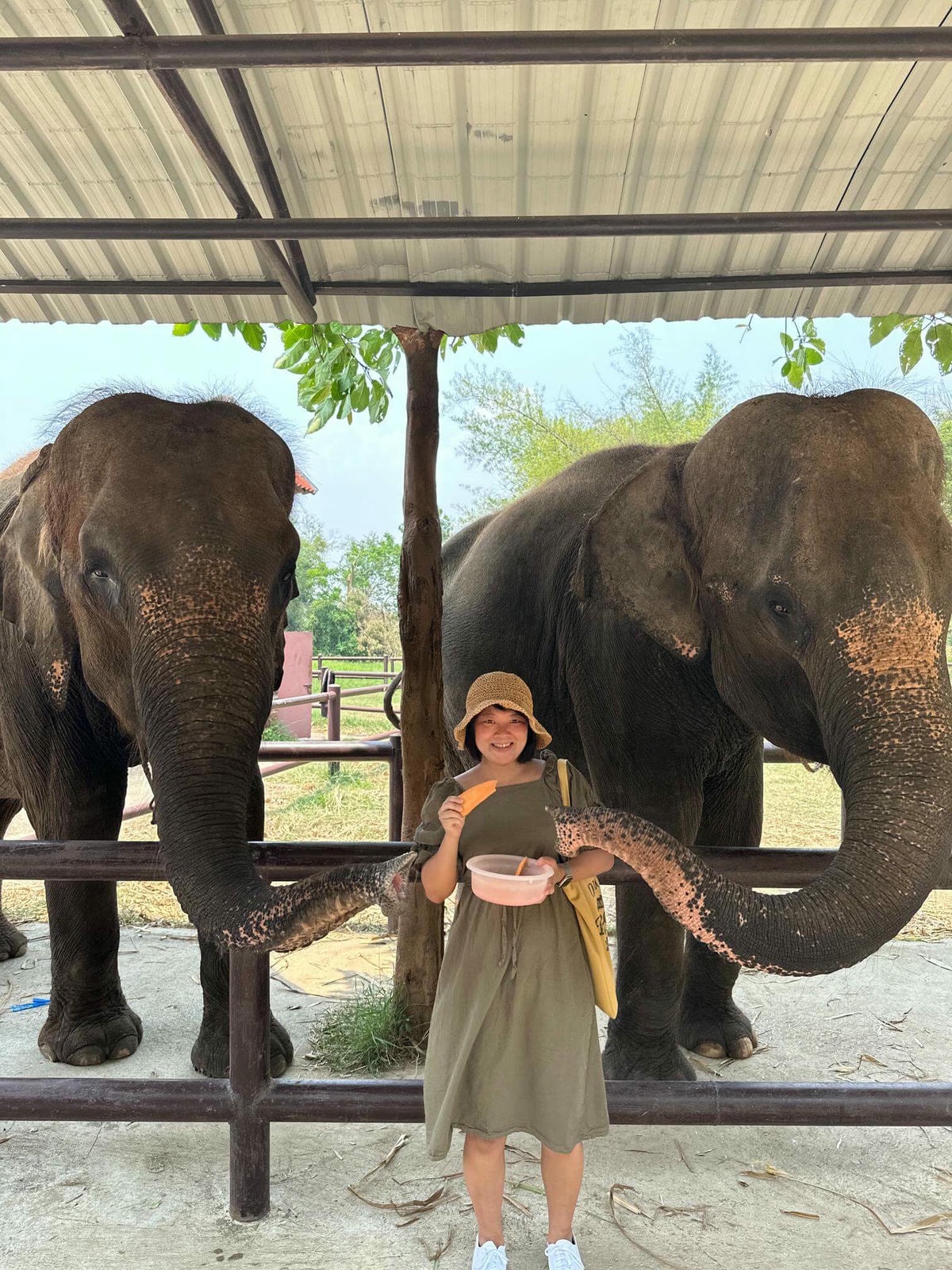 泰國曼谷近郊|北碧府旅遊包車一日遊,桂河大橋、動物園、網美玻璃咖啡廳一次滿足 - 第4張圖 北碧府野生動物園
