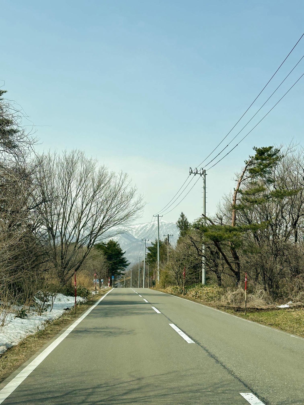 仙台狐狸村一日遊|與可愛狐狸近距離互動,狐狸村交通、門票攻略 - 第2張圖 仙台狐狸村