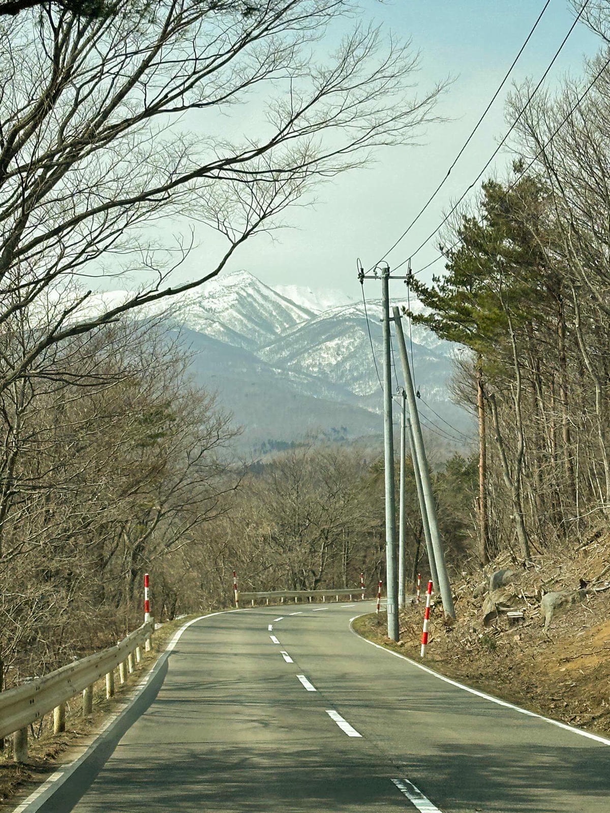 仙台狐狸村一日遊|與可愛狐狸近距離互動,狐狸村交通、門票攻略 - 第3張圖 仙台狐狸村