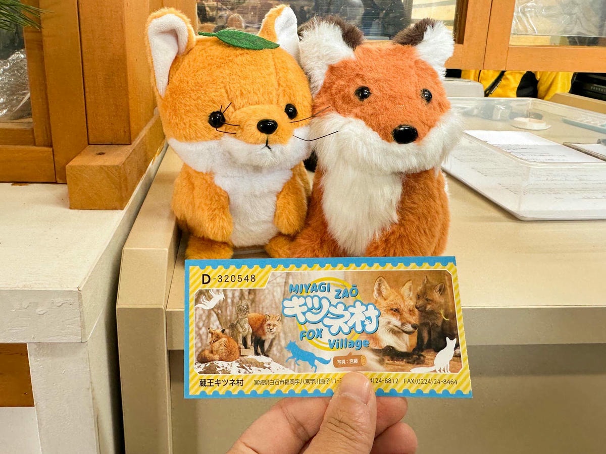 仙台狐狸村一日遊|與可愛狐狸近距離互動,狐狸村交通、門票攻略 - 第5張圖 仙台狐狸村
