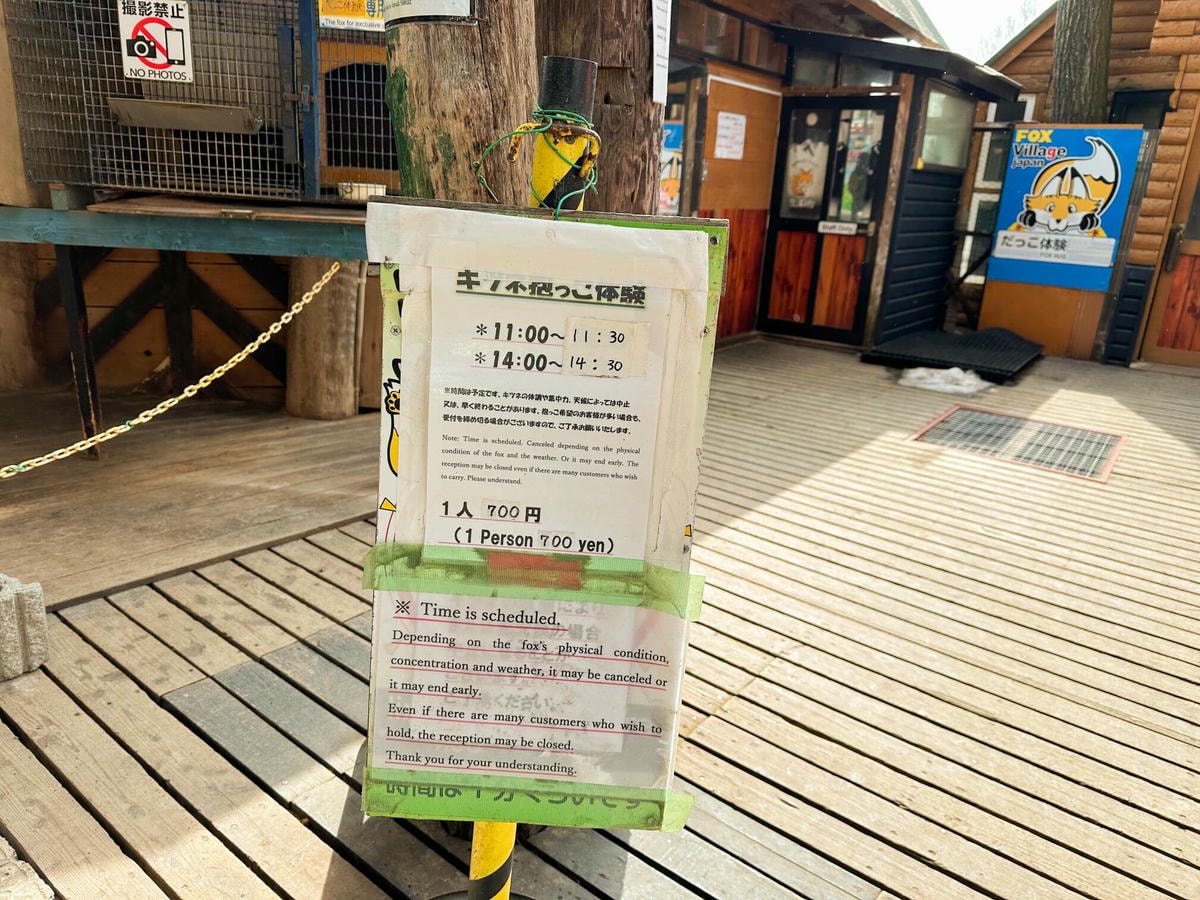 仙台狐狸村一日遊|與可愛狐狸近距離互動,狐狸村交通、門票攻略 - 第10張圖 仙台狐狸村