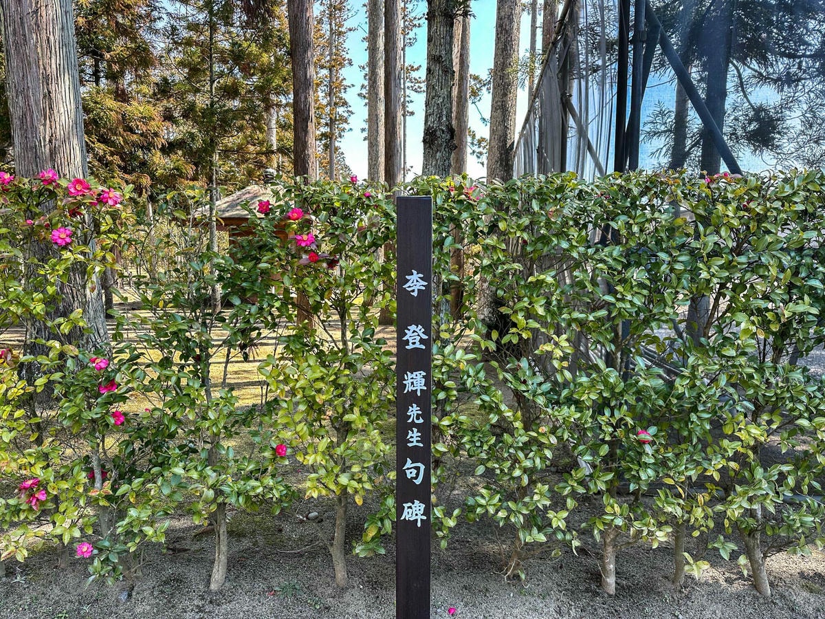 仙台近郊必訪|日本三景松島一日遊攻略,松島交通美食和 5 個松島景點推薦 - 第2張圖 松島一日遊景點 #2 | 瑞巌寺