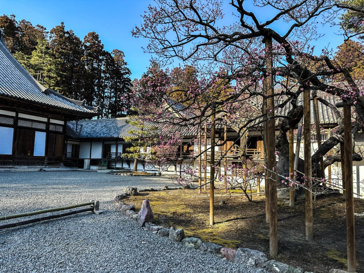 松島一日遊景點 #2 | 瑞巌寺