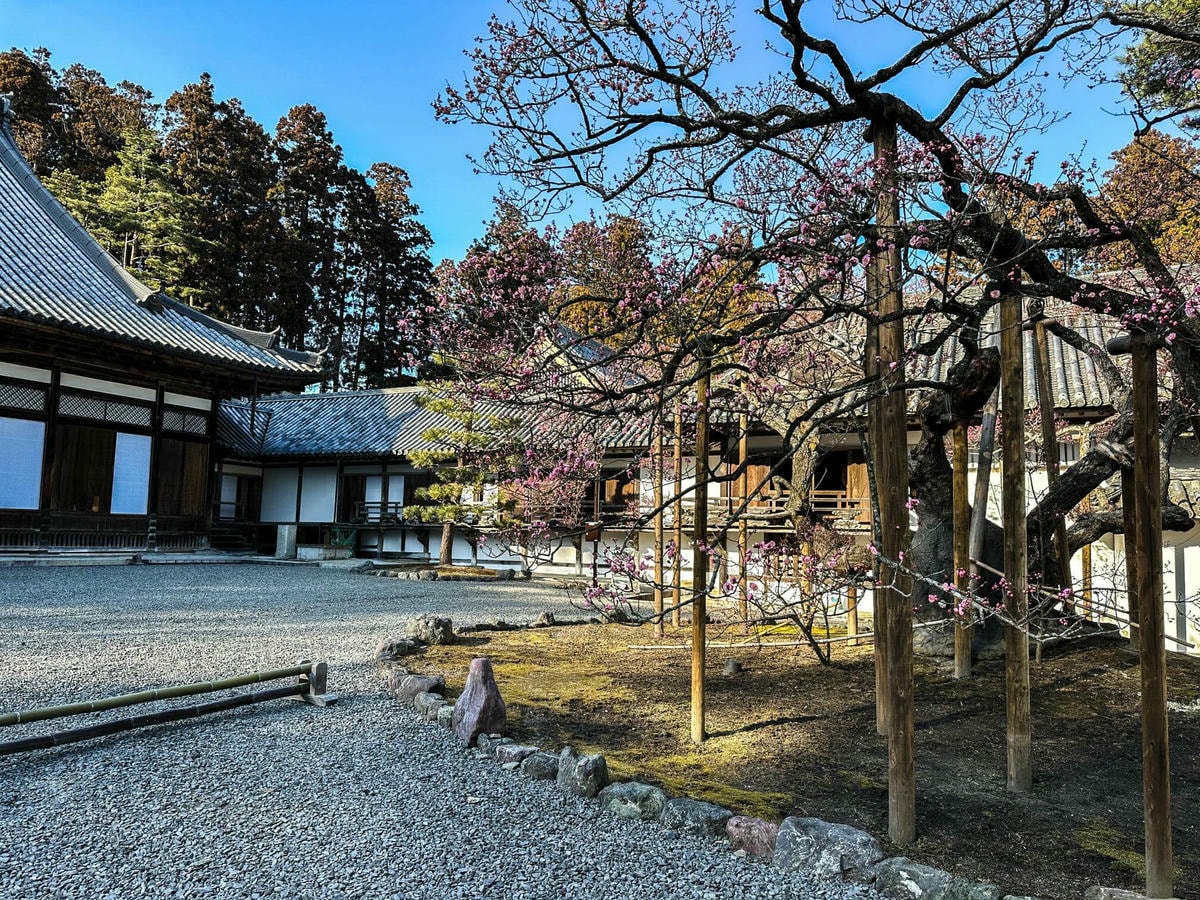 仙台近郊必訪|日本三景松島一日遊攻略,松島交通美食和 5 個松島景點推薦 - 第4張圖 松島一日遊景點 #2 | 瑞巌寺